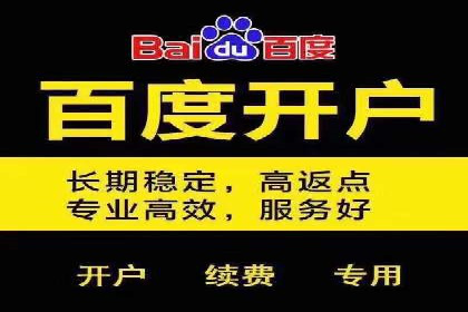 SEO百度推广策略：成功案例解析
